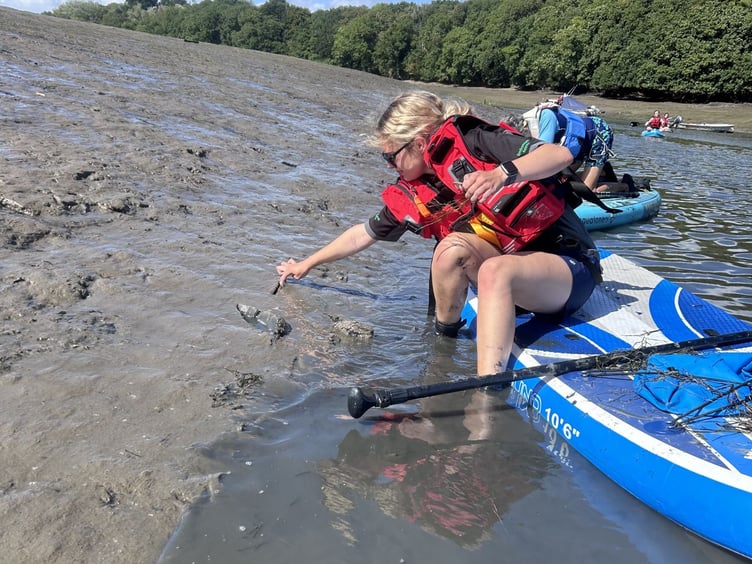 An Environment Agency volunteer planting dwarf seagrass in the Yealm estuary.